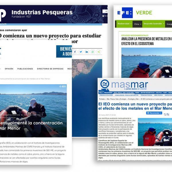 Appearances of the project in the media