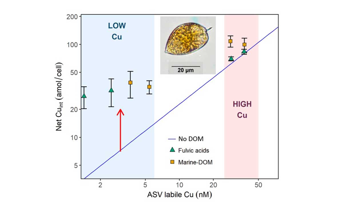 Paper released: Effect of dissolved organic matter on copper ...