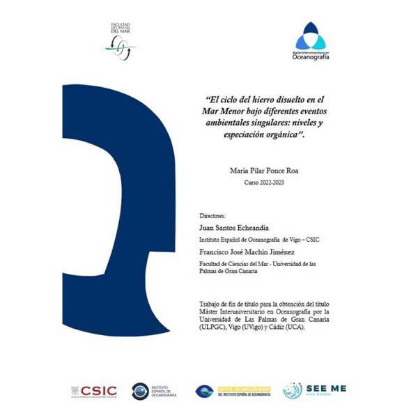 Master's Thesis by Pilar Ponce Roa in the framework of the SEEME project.