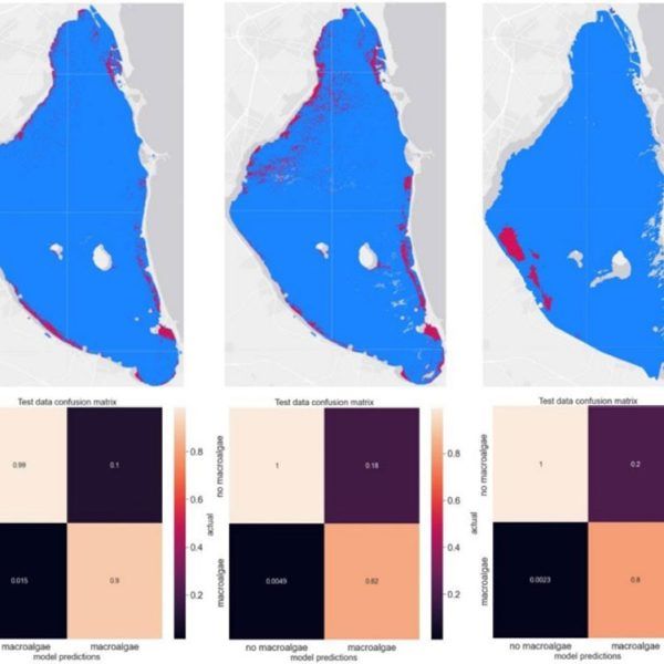 New publication: The macroalgae of the Mar Menor from space